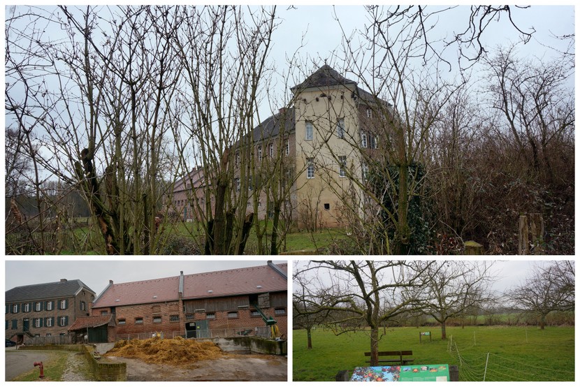 hausbuergel