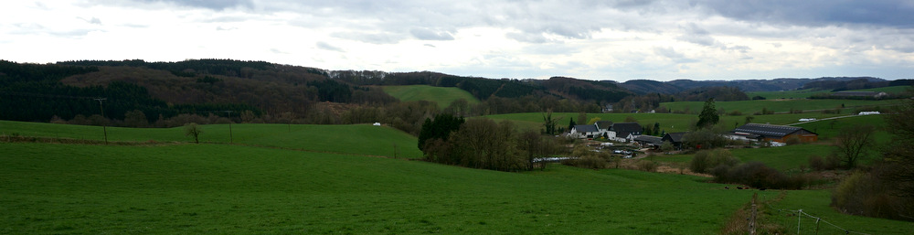 DSC00295