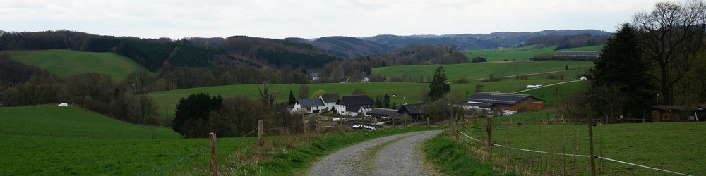 DSC00298