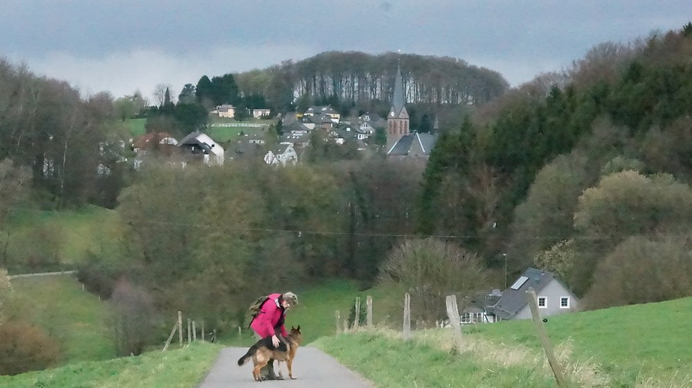 DSC00335