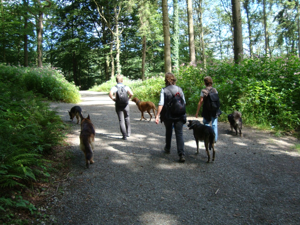 20120808 Hundewanderung 048 html