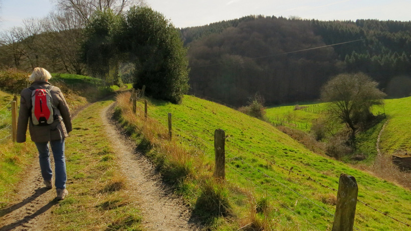 1-IMG 7141