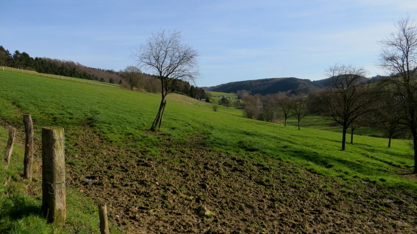 IMG 7119