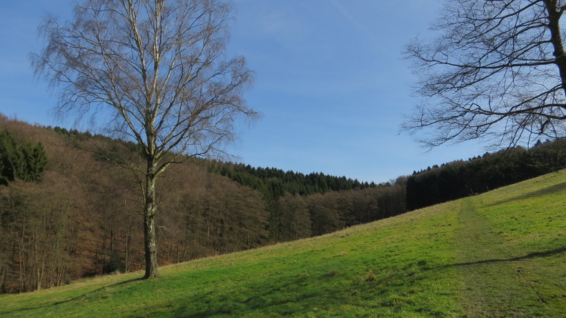 IMG 7164