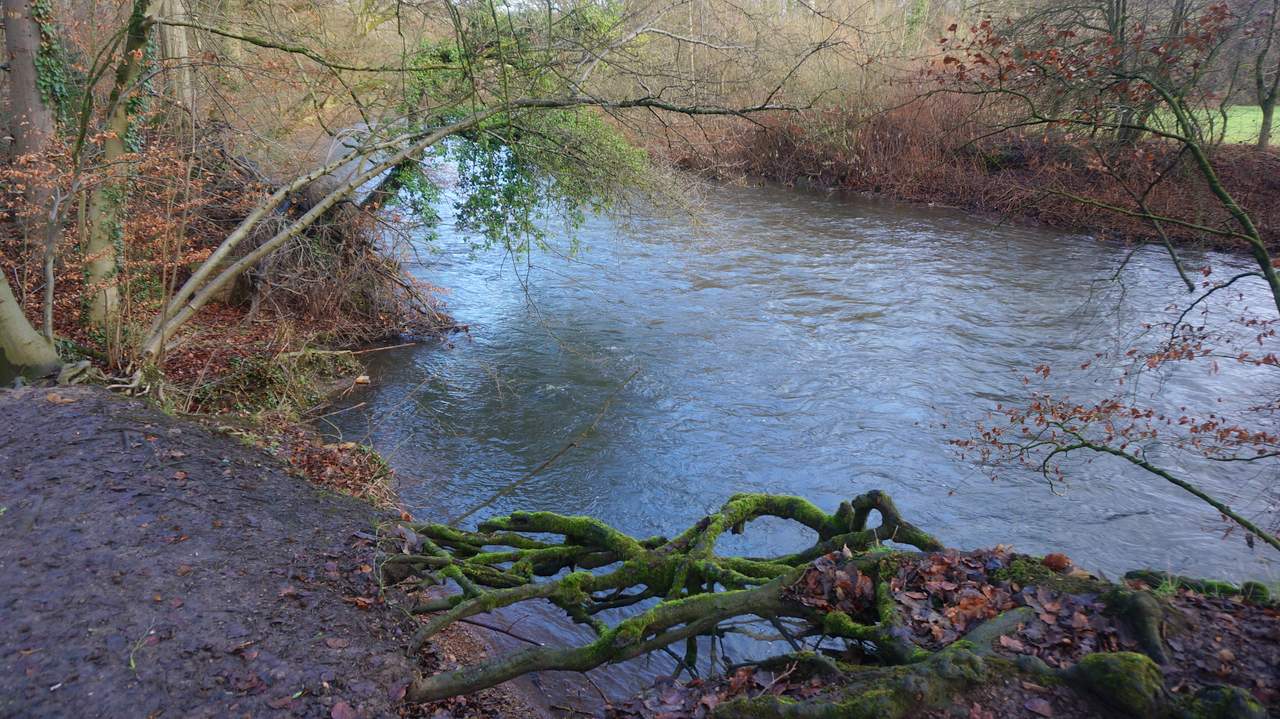 DSC05838