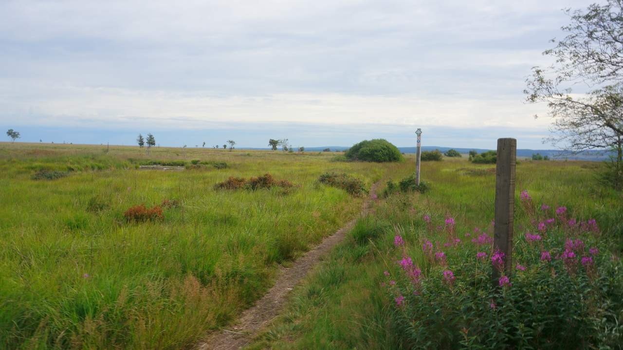 DSC03014