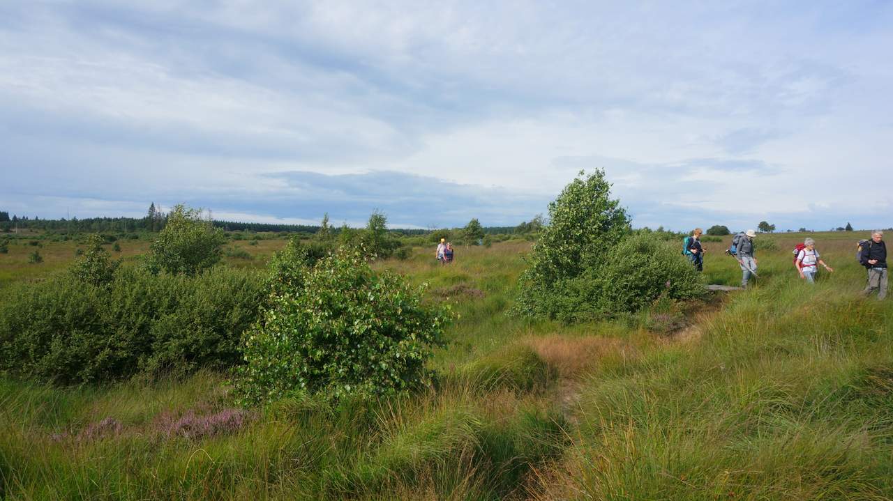 DSC03029