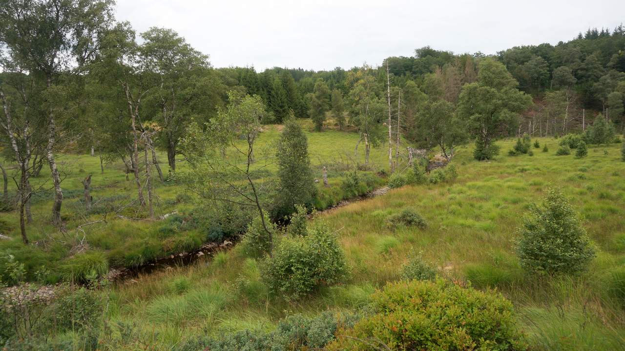 DSC03084