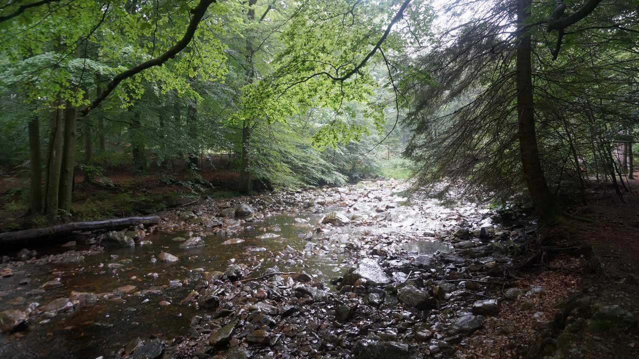DSC03099