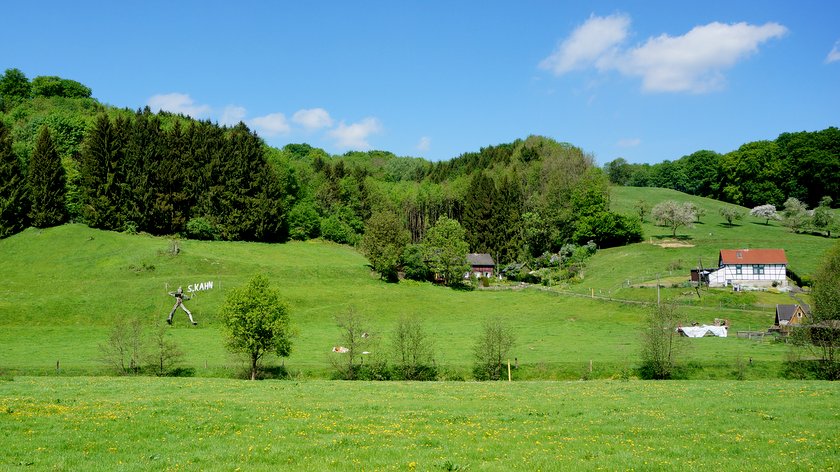 DSC02218