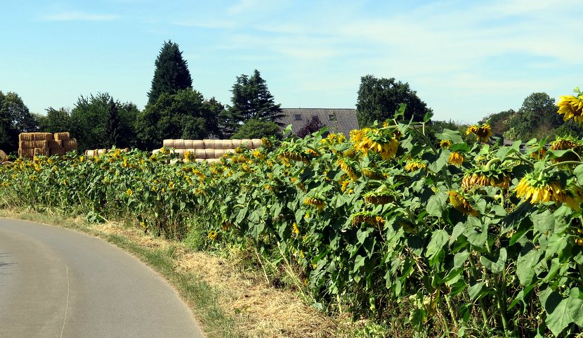 2018 Radtour Bocholt 004