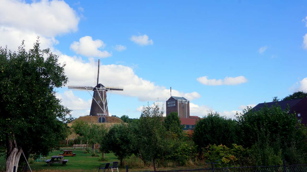 DSC08768