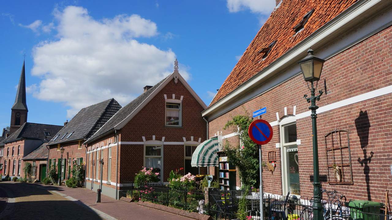 DSC08782