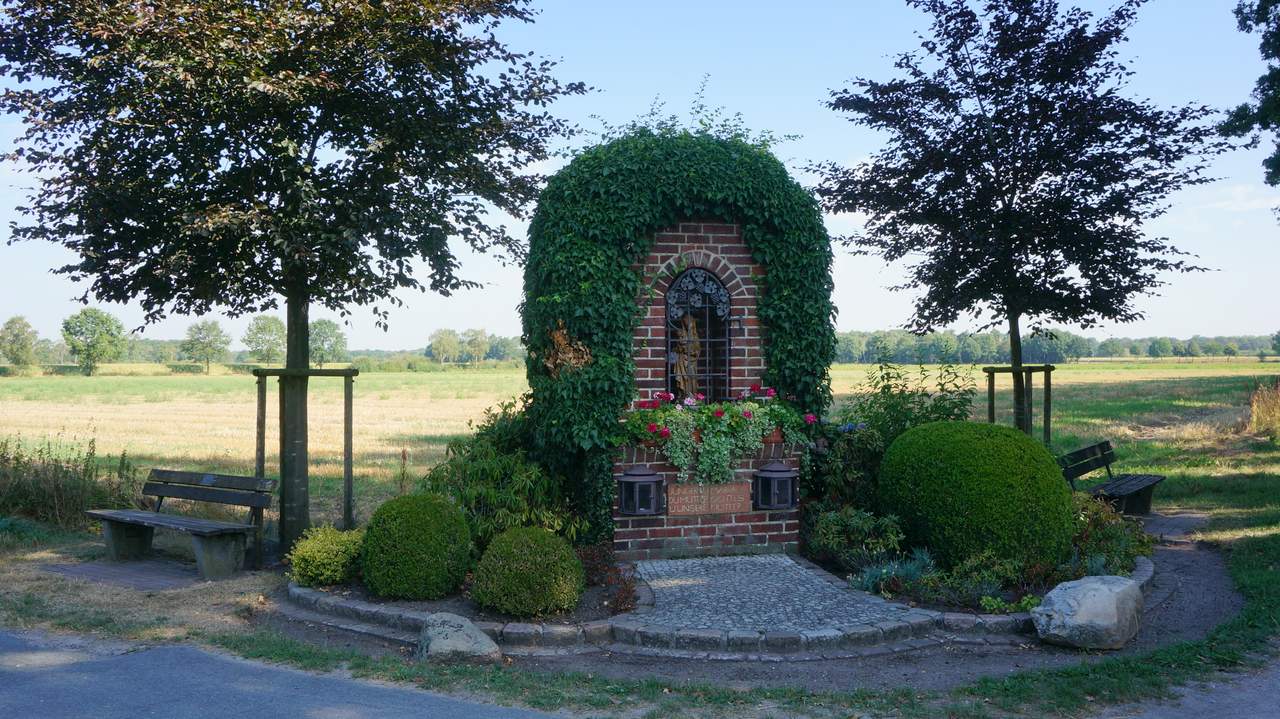 DSC08909