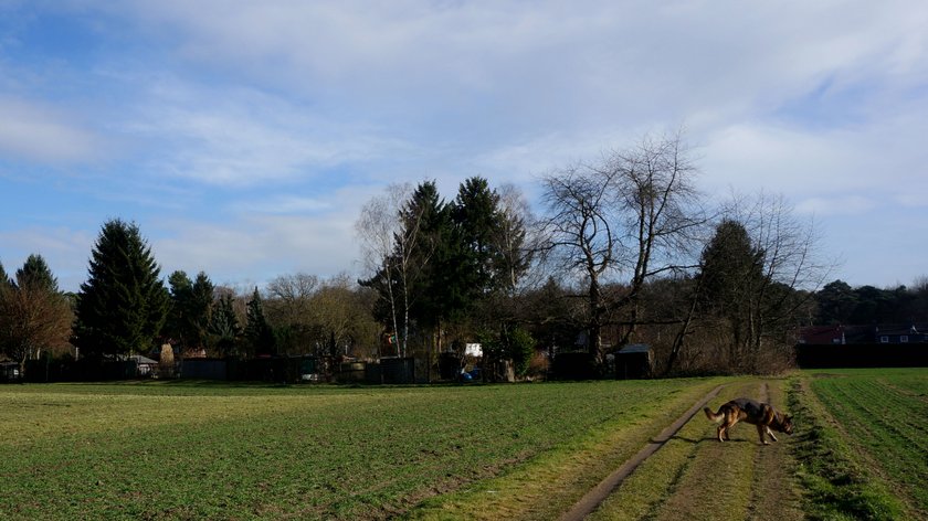 DSC09197
