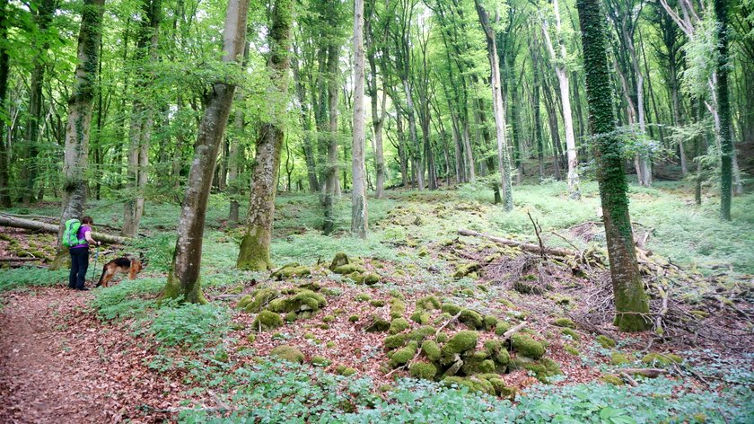DSC02483