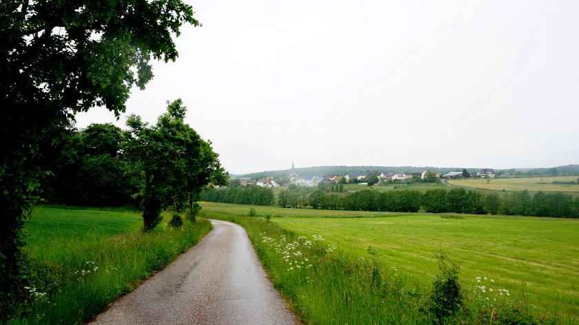 DSC02515