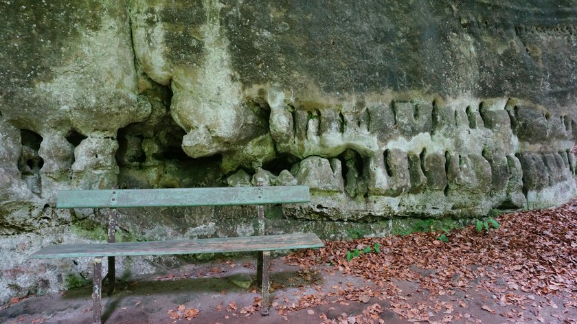 DSC02711