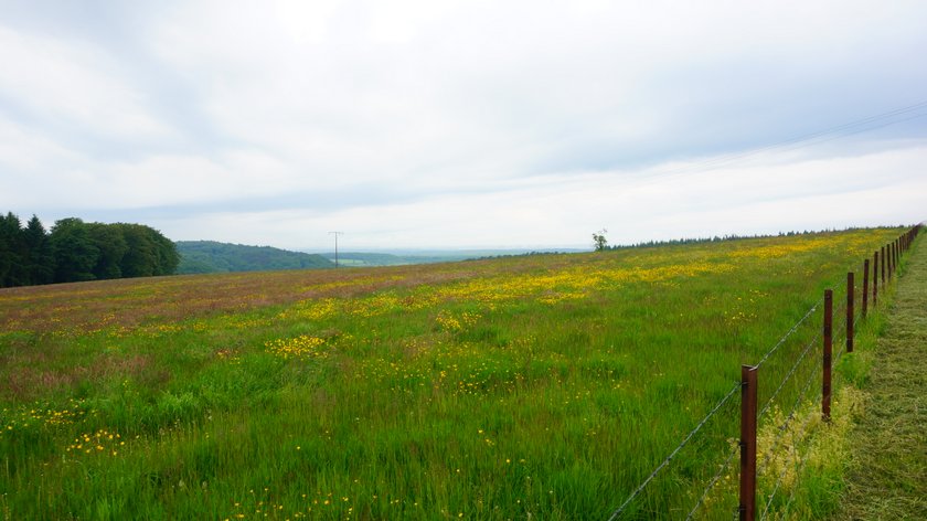 DSC03149