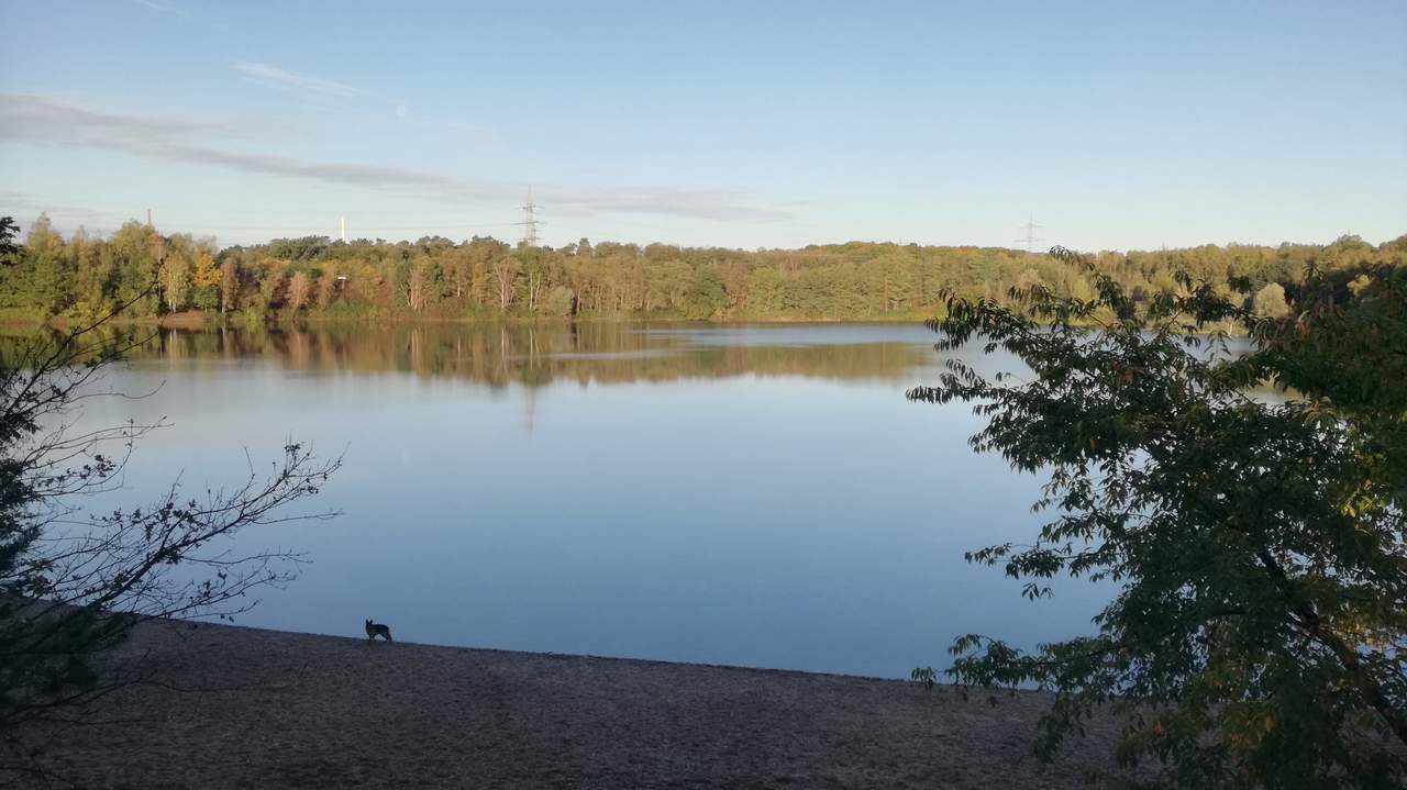 IMG 20191016 092011