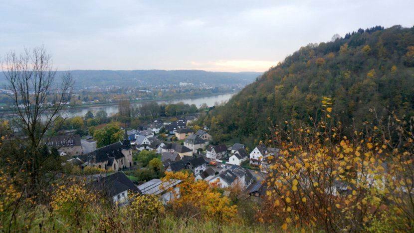 DSC05318