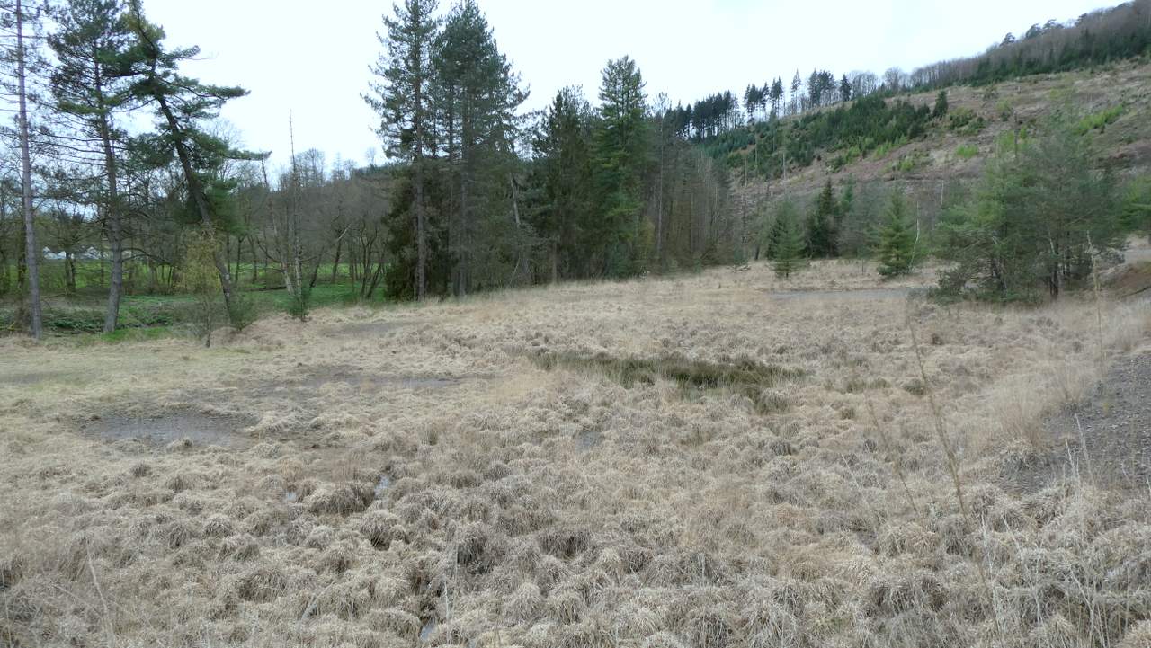 P1020670