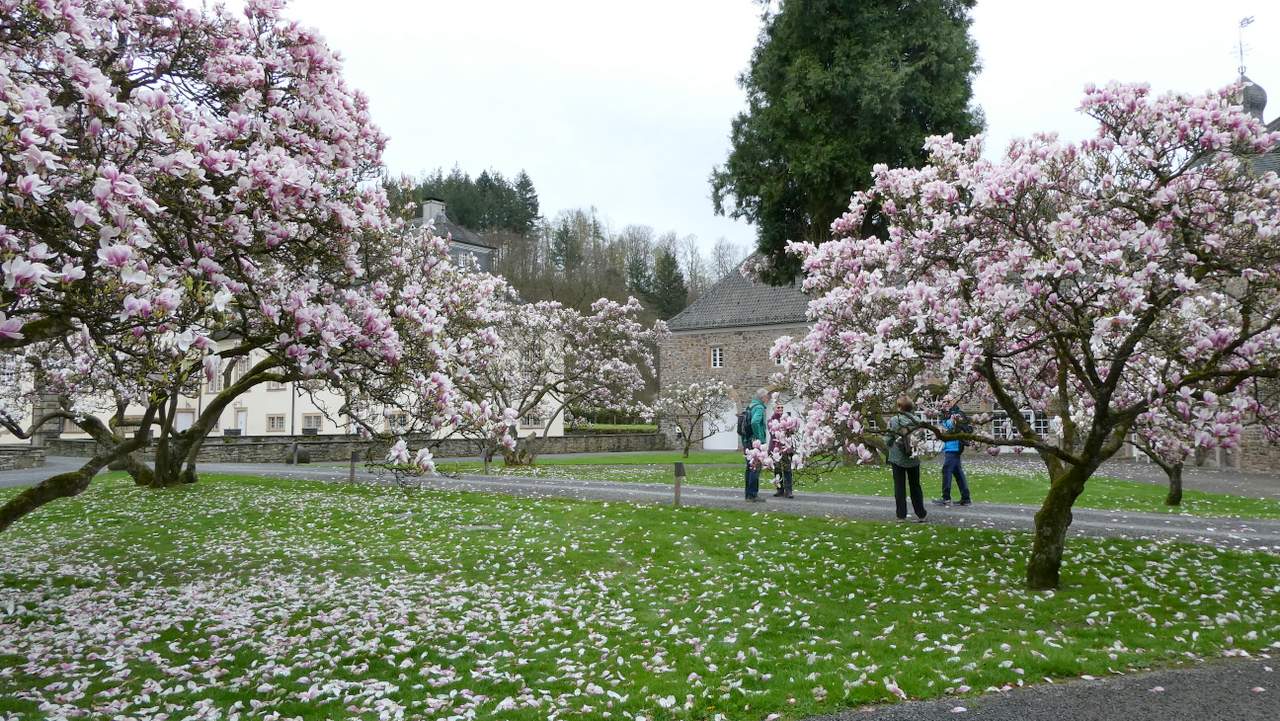 P1020692
