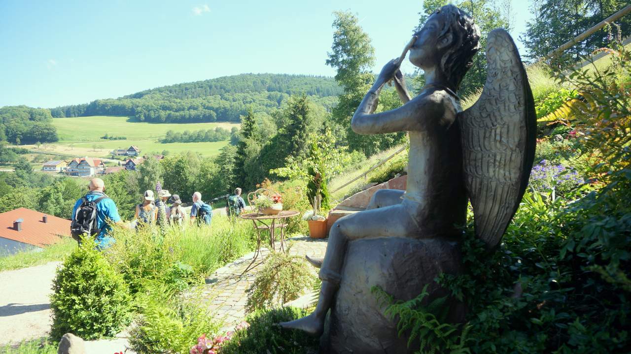 DSC02538