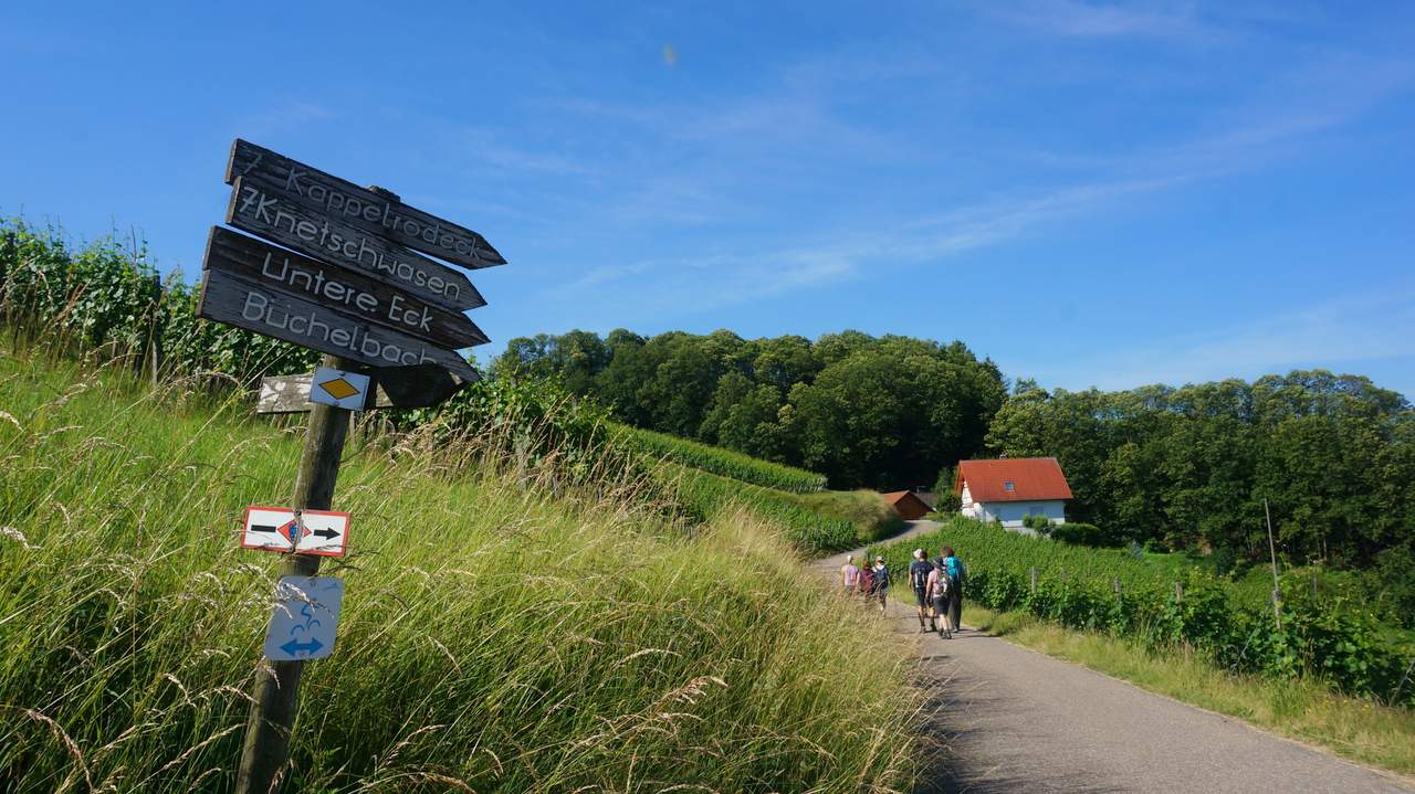 DSC02655