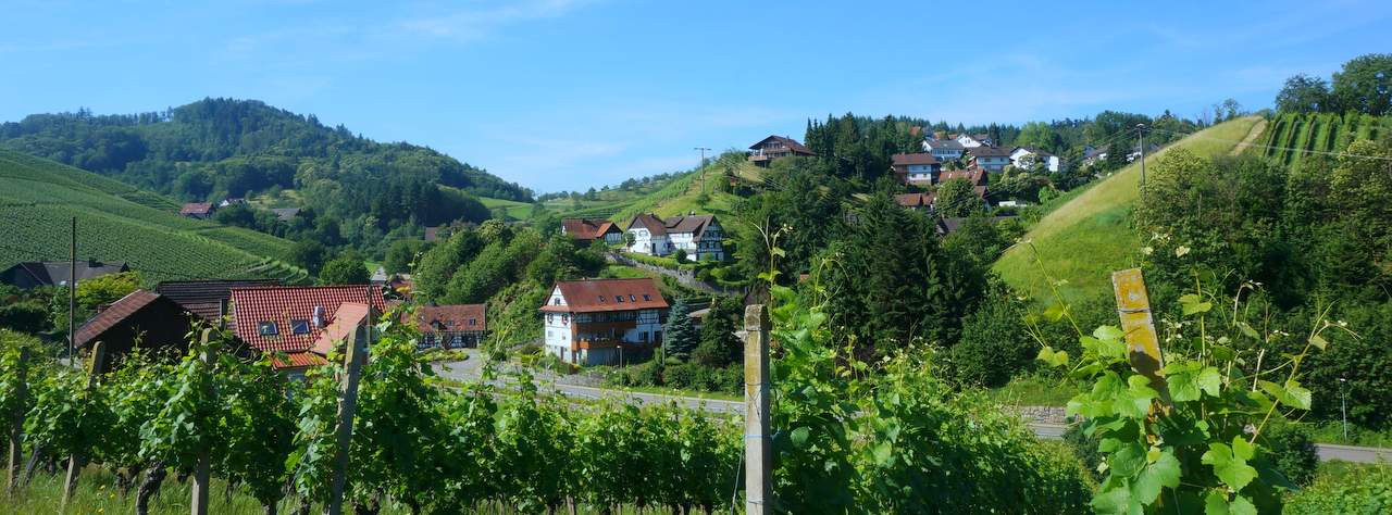 DSC02665 001