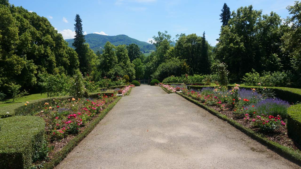 DSC02708