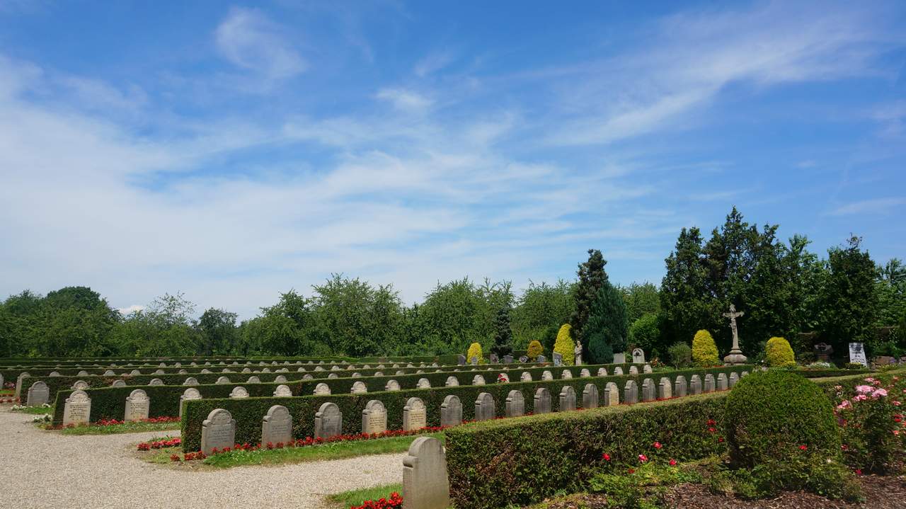 DSC02715