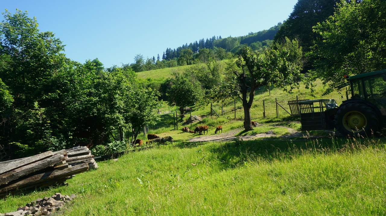 DSC02757