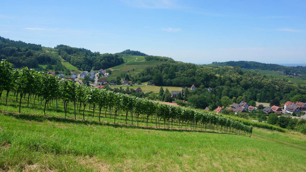 DSC02820