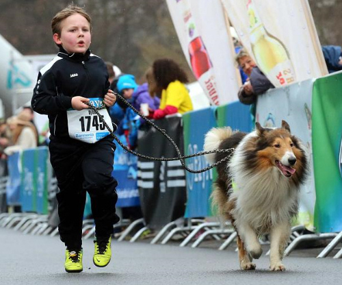 Collie