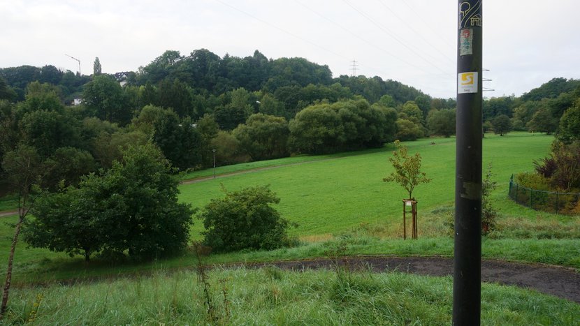 DSC04165