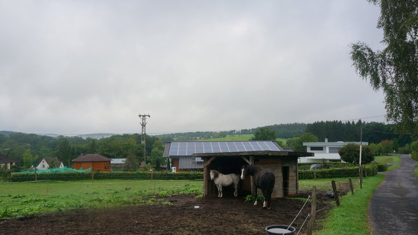 DSC04171