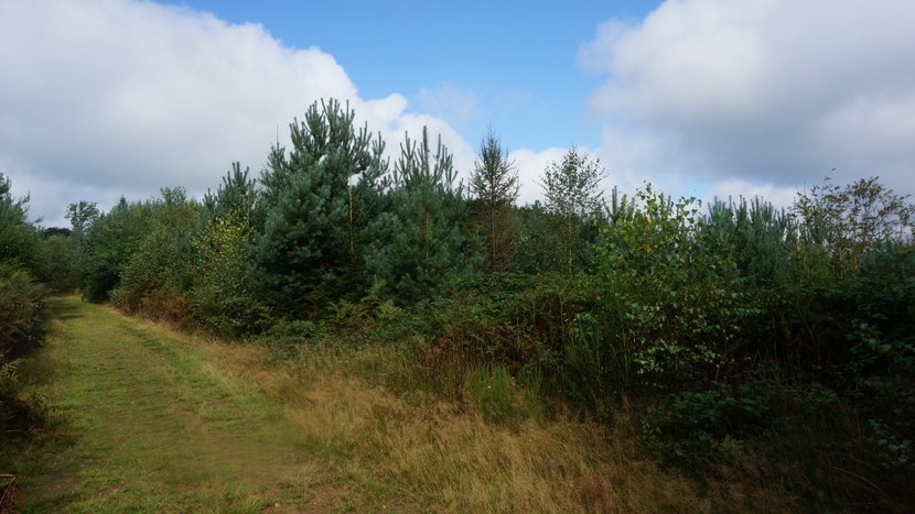 DSC04201