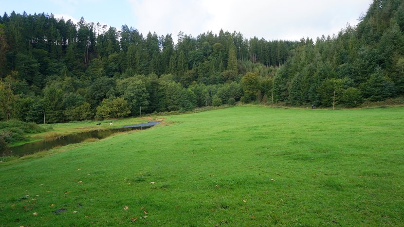DSC04212