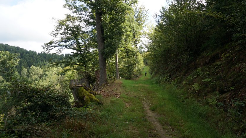 DSC04216