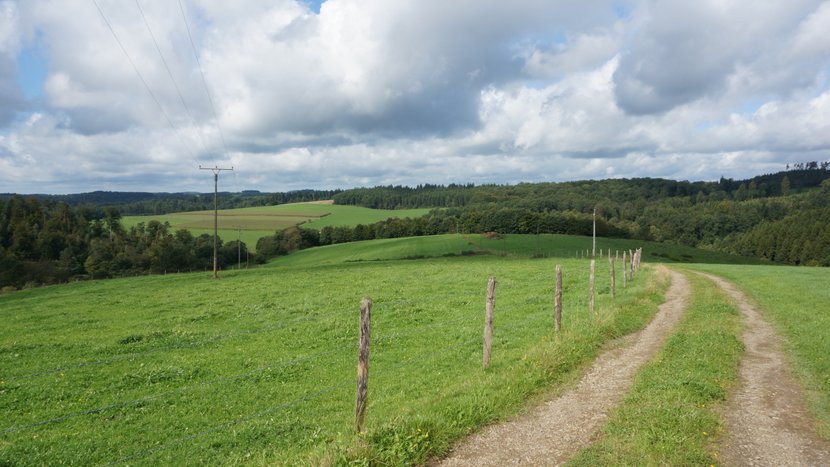 DSC04256