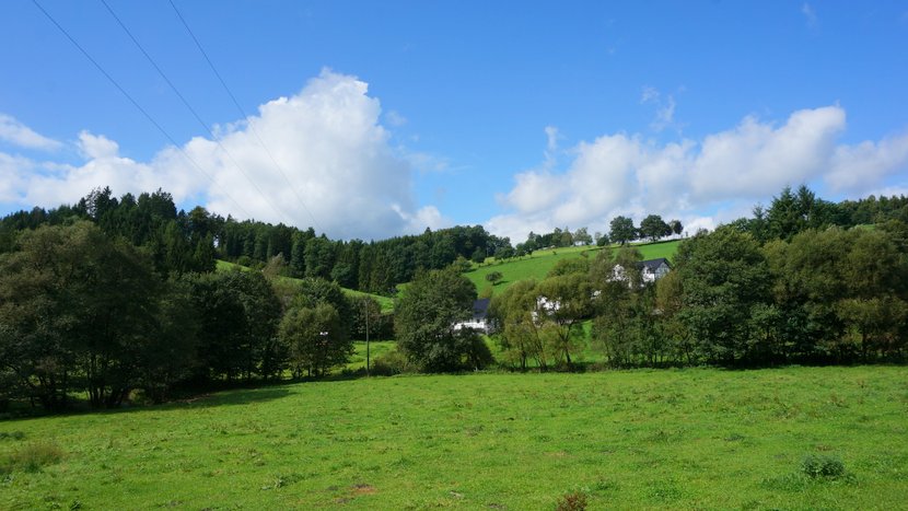 DSC04266