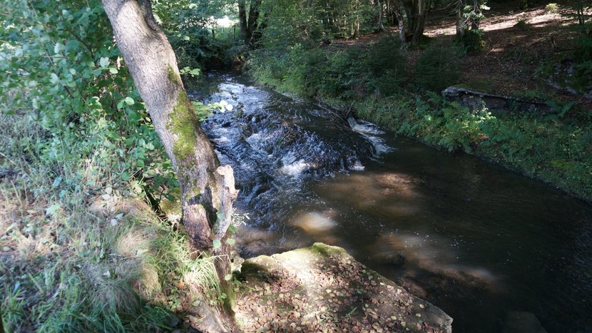 DSC04290