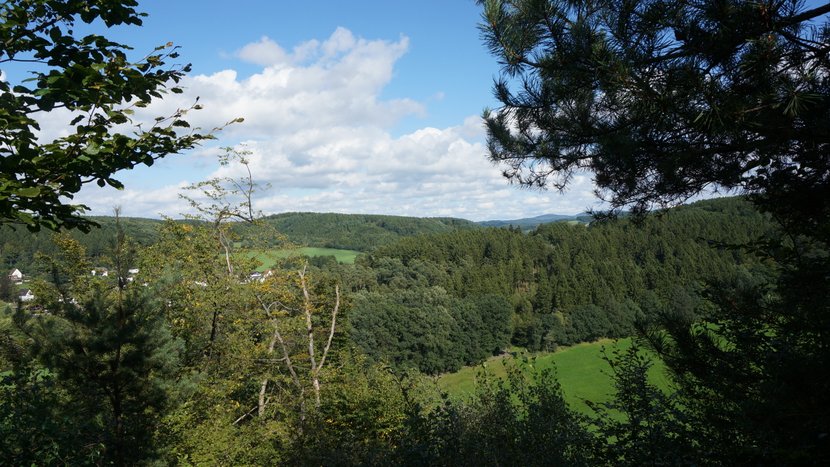 DSC04301