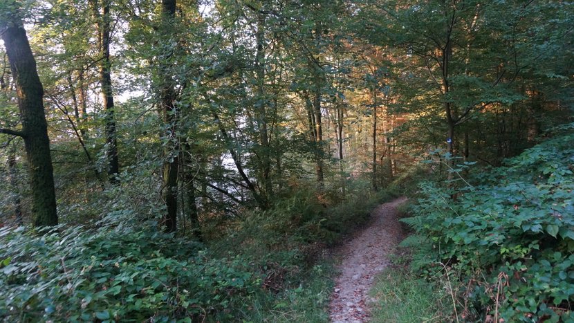 DSC00439