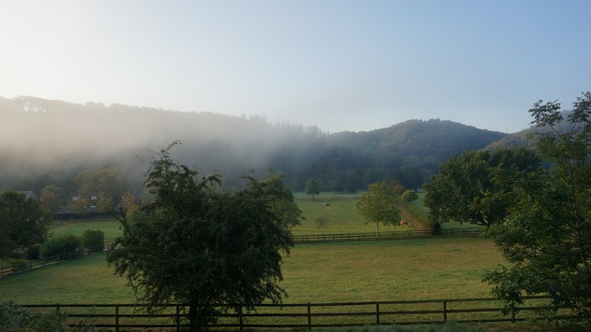 DSC00441