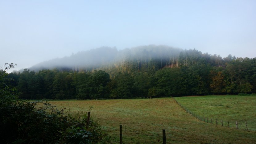 DSC00443