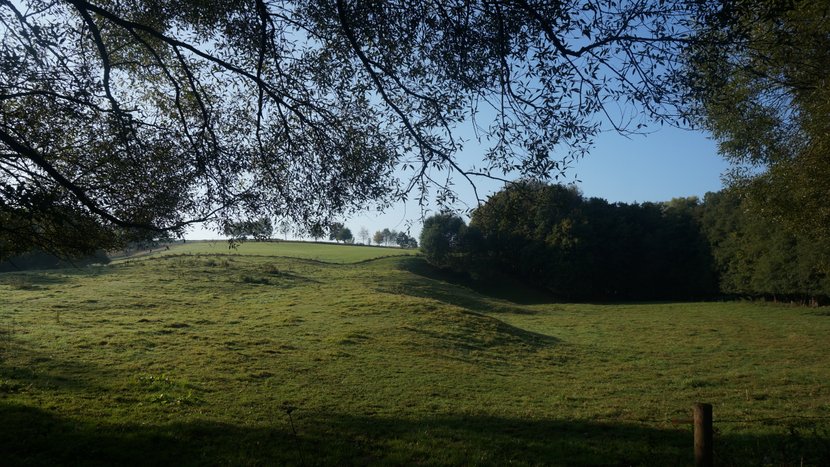DSC00447