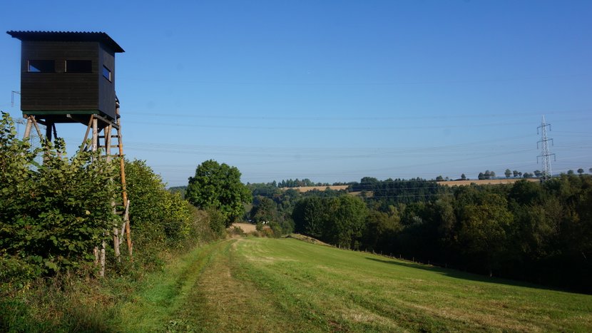 DSC00457
