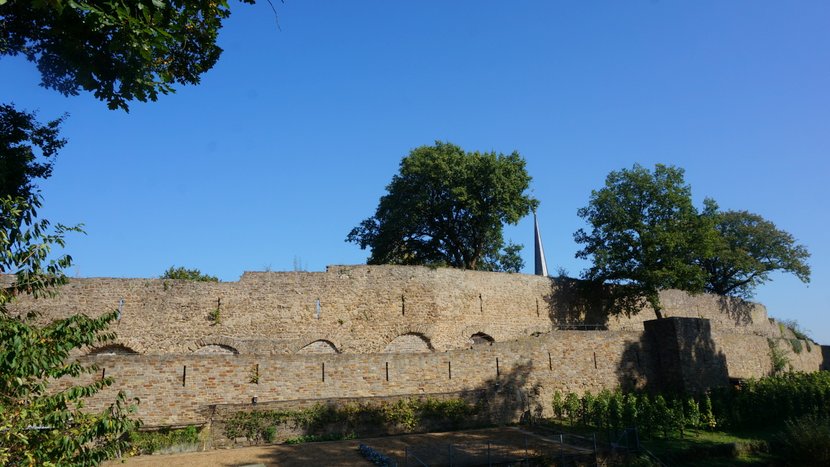 DSC00473